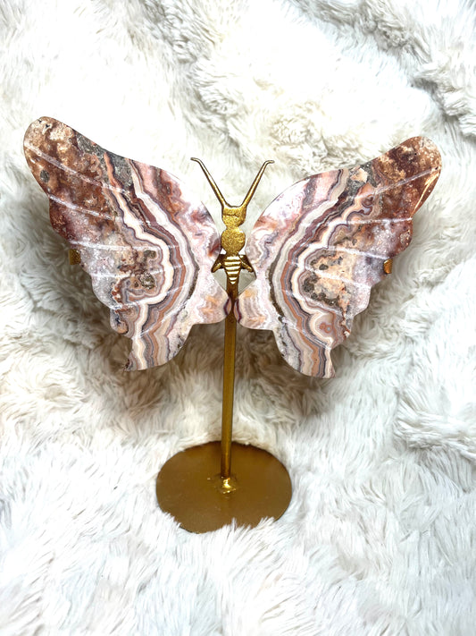 Crazy Lace agate Butterfly